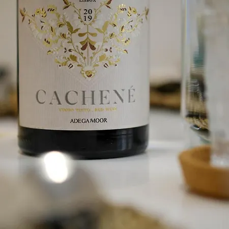 Casinha Cachene Apartment Nazare